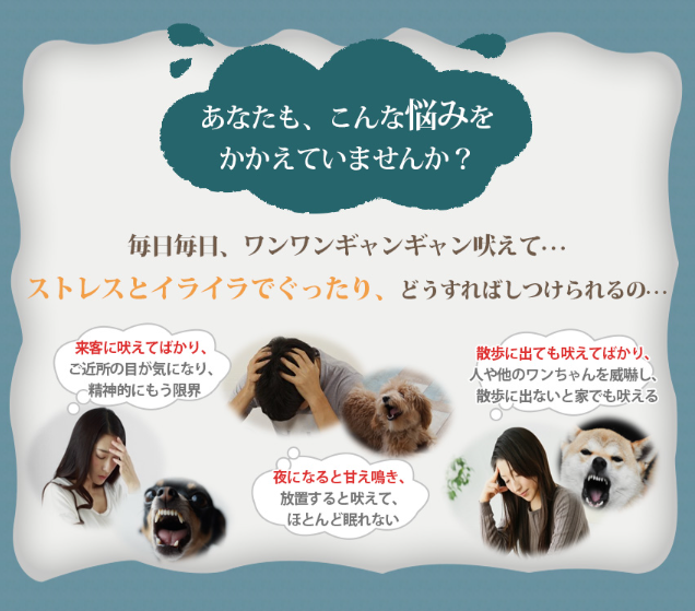 犬の無駄吠えをやめさせる方法は 防止グッズ ワンブル を試してみました 日々成長する