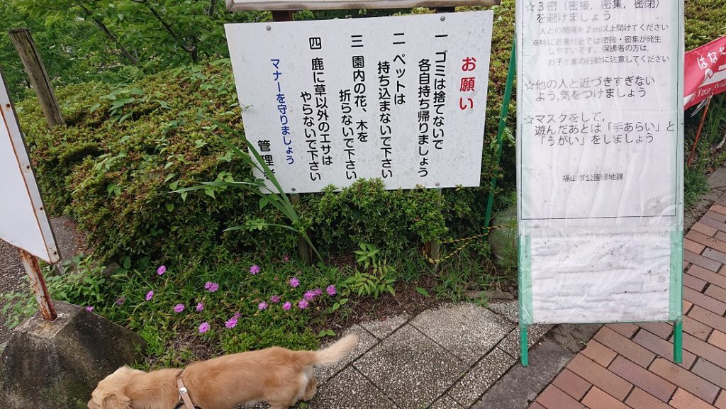 福山ファミリーパーク