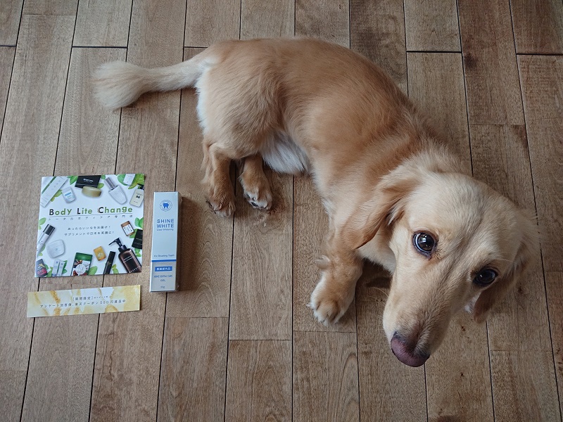 歯を白くする方法は ホワイトニングを歯磨き粉で試してみた 効果 口コミ 日々成長する